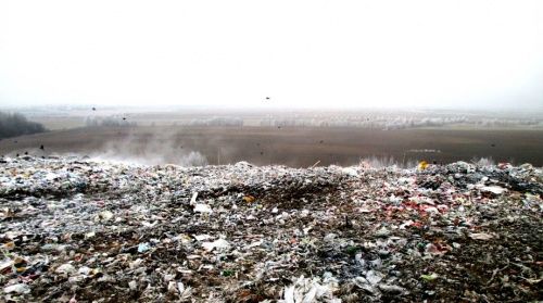 Единого оператора по обращению с мусором в Ярославской области выберут до конца апреля