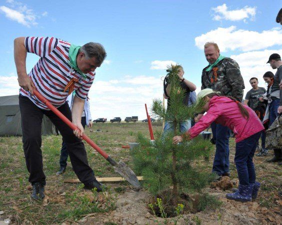 В Рыбинском районе жители посадили 400 молодых сосен 