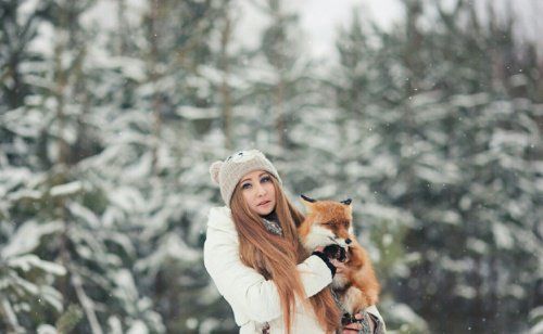 Из частного дома в Ярославле сбежали две лисицы. Хозяйка объявила вознаграждение за помощь в их поимке
