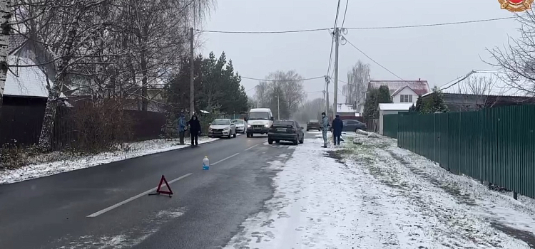 Ехал с превышением скорости: в Ярославской области насмерть сбили пятилетнюю девочку_286442