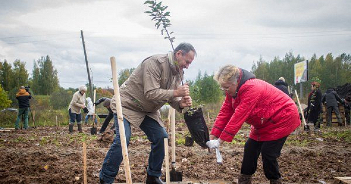 В микрорайоне «Норские резиденции» жители посадили 100 деревьев_82959