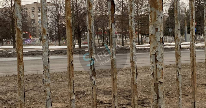 В Ярославле на двух крупных проспектах заменят заборы