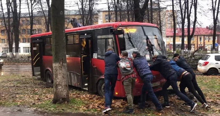 «Толкали всей маршруткой»: в Ярославле застрял автобус, объезжающий упавшее дерево