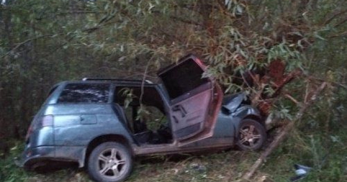 В Угличском районе отечественный автомобиль угодил в кювет: погибли два человека 