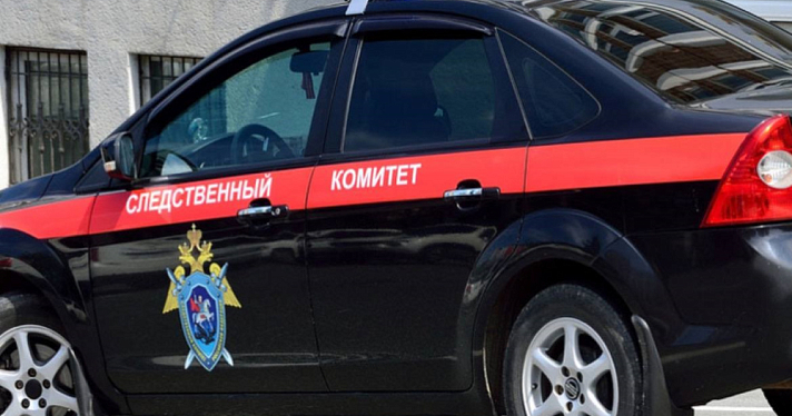 В Ярославской области двое мужчин избили и ограбили жителей села Брейтово