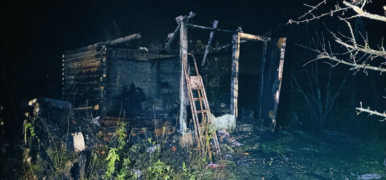 В Ярославской области при пожарах погибли двое людей_306469