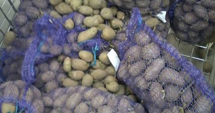 В Ярославле выявлен нелегальный картофель 