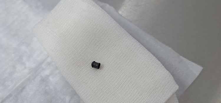 В Ярославской области неизвестный выстрелил в кошку, но об этом стало известно лишь во время осмотра_309692