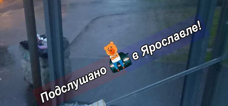 В Ярославле зафиксировали более 30 случаев вандализма за месяц