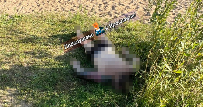 На Волге в Ярославле утонул мужчина