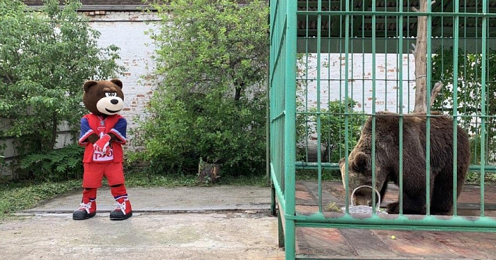 Видео дня. Медведица Маша встретилась с талисманом ярославской хоккейной команды