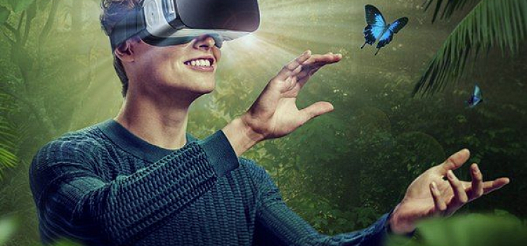 В парке на Даманском острове появится новый аттракцион 