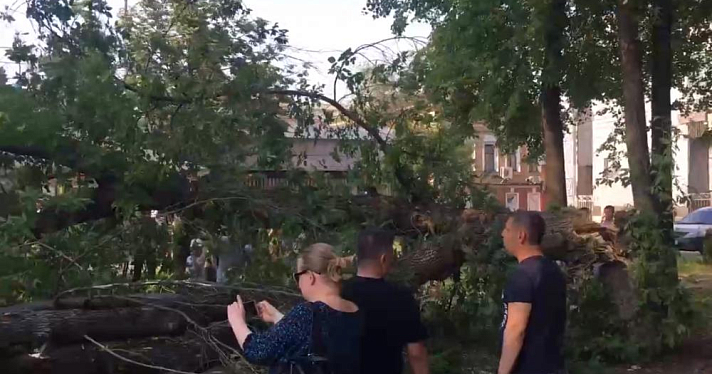Возле детской площадки на площади Юности упали деревья