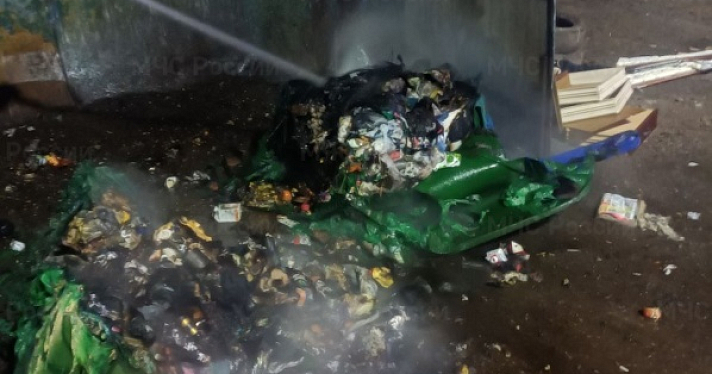 В Ярославле ночью сгорели семь мусорных контейнеров_269731