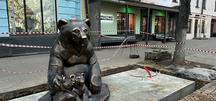 В центре Ярославля можно будет управлять бегущим и летящим мишкой