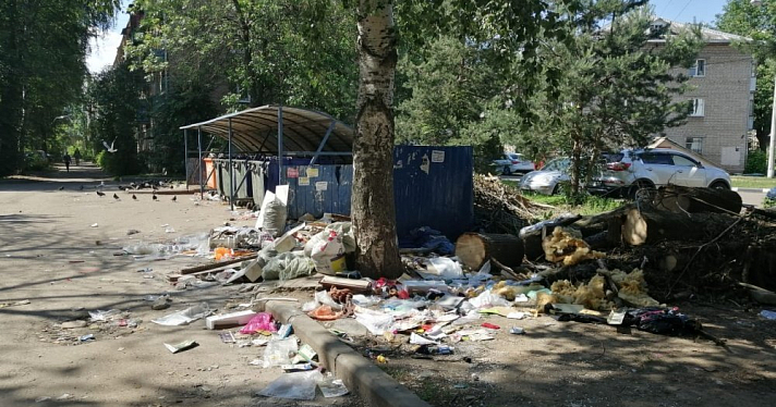 Власти Ярославской области нашли проблемы с содержанием контейнерных площадок, но они не касаются вывоза мусора