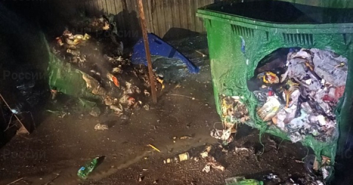 В Ярославле ночью сгорели семь мусорных контейнеров_269730
