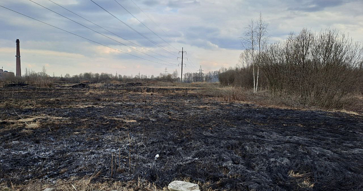 Горящая сухая трава в поле едва не уничтожила дома в дачном поселке под Ярославлем_237258