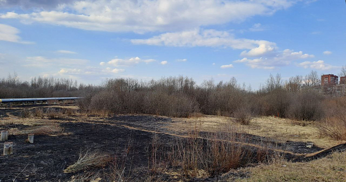 Горящая сухая трава в поле едва не уничтожила дома в дачном поселке под Ярославлем_237259