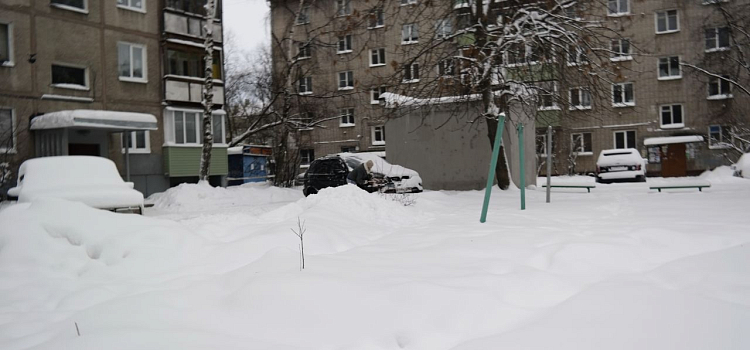 Начальник жилинспекции рассказала о проверке деятельности УК по уборке дворов