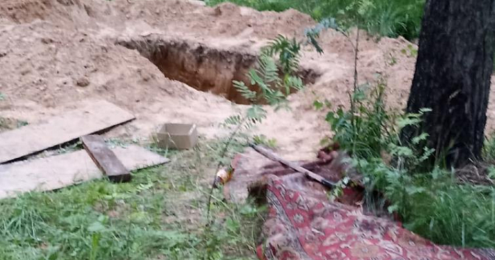 Выкопали яму для отходов: под Ярославлем в сосновом бору устроили свалку_243730