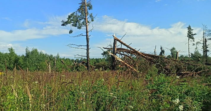 Оборванные провода и выдранные с корнем деревья: последствия урагана в поселке Красный Профинтерн