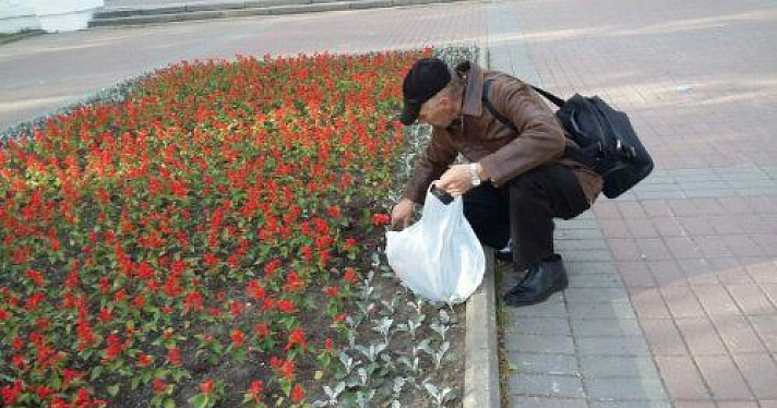 Жителя Ярославля поймали на краже цветов с центральной клумбы
