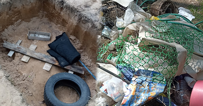 Выкопали яму для отходов: под Ярославлем в сосновом бору устроили свалку_243725