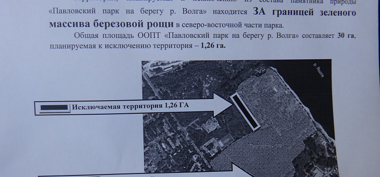 Застройка Павловской рощи, или как погибает экосистема Ярославля_63037