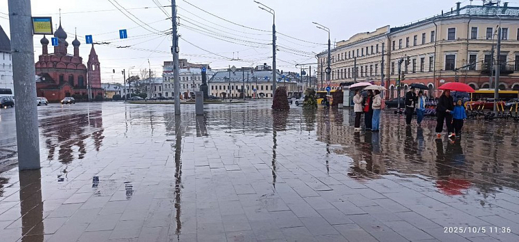 В Ярославле меняют остановочные павильоны