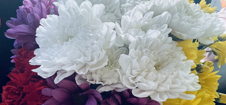 В Ярославле мошенническая служба доставки цветов выманили у девушки 500 тысяч рублей