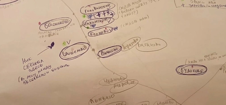 Четвероногого друга ищут все: стаффорд Ник пропал в Ярославской области_309704