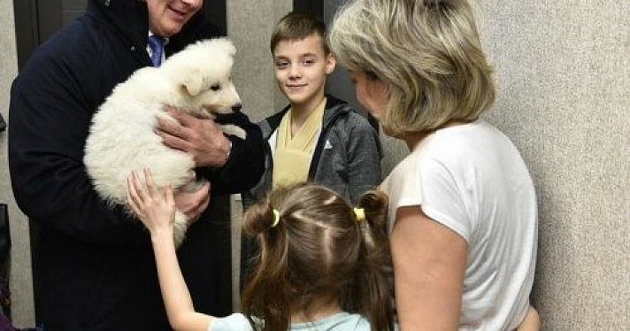 Президент подарил мальчику из Ярославля щенка швейцарской овчарки