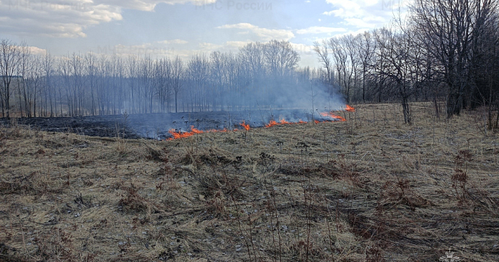 В Ярославской области из-за горящей травы пострадало более 546 гектаров полей