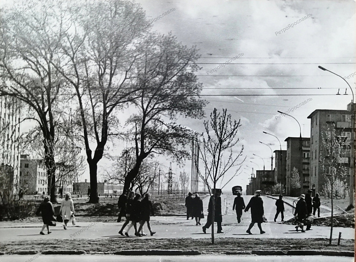 Вид на улицу Кривова от Московского проспекта, 1970-й год.jpg