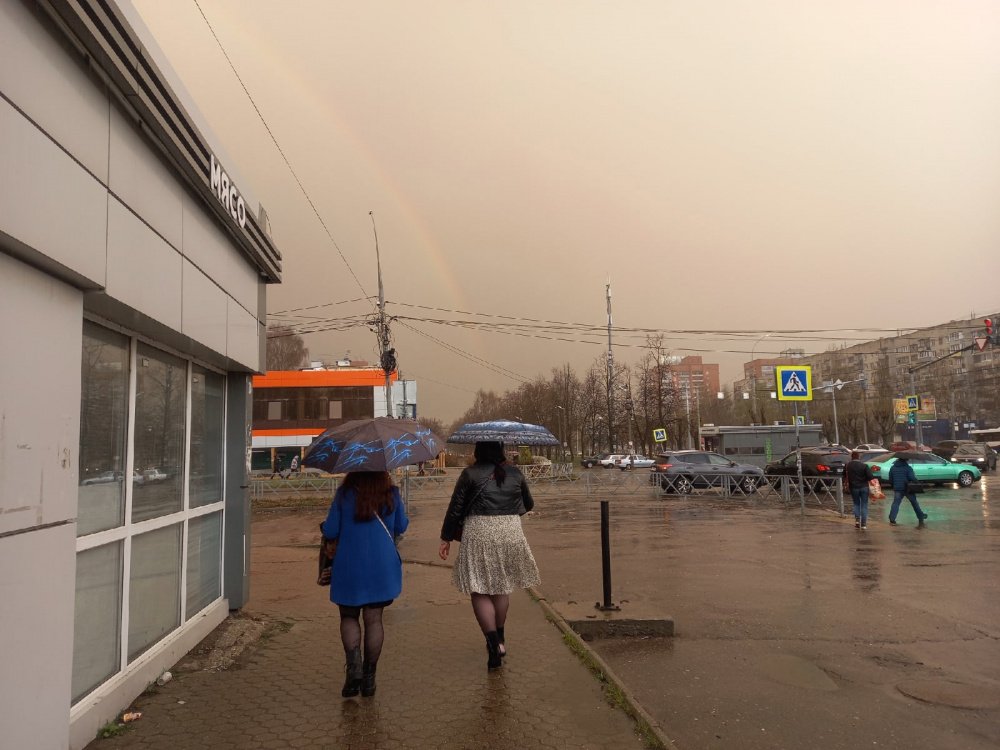 Оставайтесь дома: МЧС предупредило ярославцев о сильном ветре и грозах