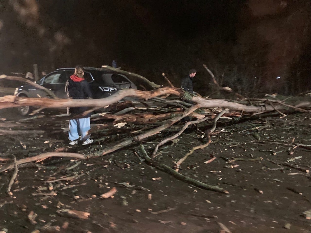 В Ярославле от упавших деревьев и веток пострадали несколько автомобилей, а также молодая женщина с детьми