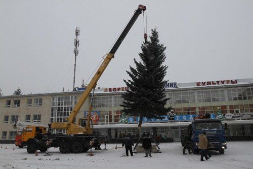У ДК «Нефтяник» в Ярославле установили 17-метровую живую ель