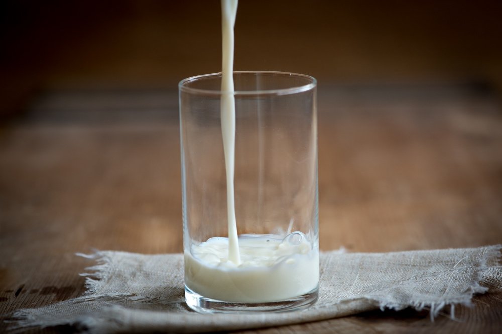 Объём реализации молока в сельхозорганизациях России вырос на 2,8% 