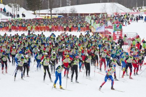 Деминский лыжный марафон пройдет в Ярославской области 2 и 3 марта