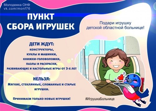 Ярославские активисты объявили сбор игрушек для Детской больницы
