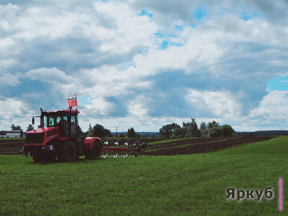 Праздник сельского хозяйства и фермерства: в Ярославской области состоялся фестиваль «День поля»