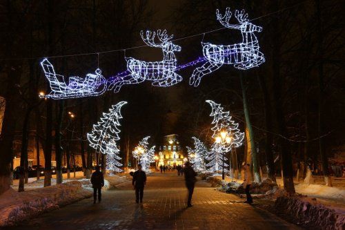 Ярославские предприниматели установили новогодние объекты: фотографии 