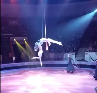Ярославская гимнастка сорвалась с высоты, исполняя во время представления опасный номер