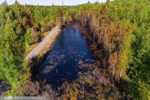 Власти: нефть из загрязненного озера в Ярославле не попадет в другие водоемы
