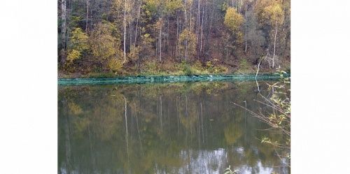Власти: сине-зелёный цвет воды в реках Ярославской области — норма