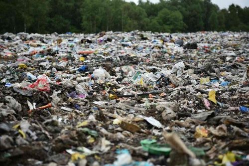 Проект рекультивации мусорного полигона под Переславлем-Залесским получил заключение Росприроднадзора