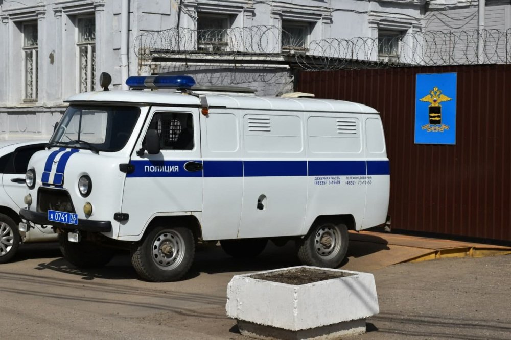 «Смог оценить вкус»: житель Ярославской области украл четырех домашних уток
