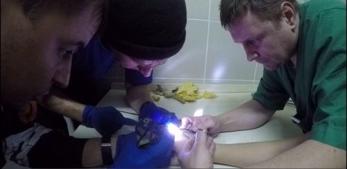 В Ярославле спасатели освободили девушку из плена подаренного кольца