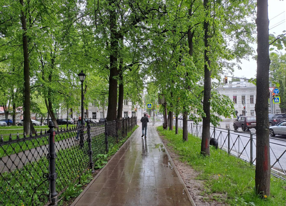 С Ильина дня ночь длинна и вода холодна: в Ярославль приходит период дождей и прохлады